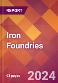 Iron Foundries - 2023 U.S. Market Research Report with Updated COVID-19 & Recession Forecasts- Product Image