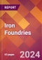 Iron Foundries - 2023 U.S. Market Research Report with Updated COVID-19 & Recession Forecasts - Product Image