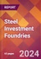 Steel Investment Foundries - 2024 U.S. Market Research Report with Updated Recession Risk Forecasts - Product Image