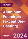 Aluminum Foundries (except Die-Casting) - 2024 U.S. Market Research Report with Updated Recession Risk Forecasts- Product Image