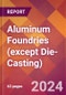 Aluminum Foundries (except Die-Casting) - 2024 U.S. Market Research Report with Updated Recession Risk Forecasts - Product Thumbnail Image