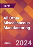 All Other Miscellaneous Manufacturing - 2024 U.S. Market Research Report with Updated Recession Risk Forecasts- Product Image