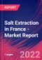 Salt Extraction in France - Industry Market Research Report - Product Thumbnail Image