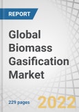 Global Biomass Gasification Market by Source (Agricultural, Forest, Animal, Municipal), Gasifier Technology (Fixed-bed, Fluidized-bed, Entrained Flow), Application (Power, Chemicals, Hydrogen, Transportation, Ethanol, Biochar) and Region - Forecast to 2027- Product Image