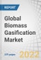 Global Biomass Gasification Market by Source (Agricultural, Forest, Animal, Municipal), Gasifier Technology (Fixed-bed, Fluidized-bed, Entrained Flow), Application (Power, Chemicals, Hydrogen, Transportation, Ethanol, Biochar) and Region - Forecast to 2027 - Product Image