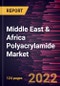Middle East & Africa Polyacrylamide Market Forecast to 2028 - COVID-19 Impact and Regional Analysis - by Type, Form, and End User - Product Thumbnail Image