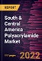 South & Central America Polyacrylamide Market Forecast to 2028 - COVID-19 Impact and Regional Analysis - by Type, Form, and End User - Product Thumbnail Image