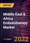 Middle East & Africa Embolotherapy Market Forecast to 2028 - COVID-19 Impact and Regional Analysis - by Product, Disease Indication, Procedure, and End User - Product Thumbnail Image
