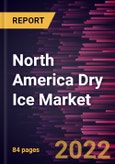 North America Dry Ice Market Forecast to 2028 - COVID-19 Impact and Regional Analysis - Type and Application- Product Image
