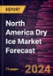 North America Dry Ice Market Forecast to 2030 - Regional Analysis - by Type and Application - Product Thumbnail Image