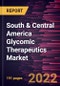 South & Central America Glycomic Therapeutics Market Forecast to 2028 - COVID-19 Impact and Regional Analysis - Class, Structures, Indications, Mode of Action - Product Thumbnail Image