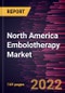 North America Embolotherapy Market Forecast to 2028 - COVID-19 Impact and Regional Analysis - by Product, Disease Indication, Procedure and End User - Product Thumbnail Image