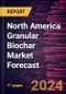 North America Granular Biochar Market Forecast to 2030 - Regional Analysis - by Product Type and Application - Product Thumbnail Image