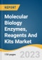 Molecular Biology Enzymes, Reagents And Kits Market Size, Share & Trends Analysis Report By Product (Kits, Reagents), By Application, By End-use, By Region, And Segment Forecasts, 2022 - 2030 - Product Image
