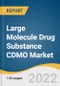 Large Molecule Drug Substance CDMO Market Size, Share & Trends Analysis Report By Service (Contract Manufacturing, Contract Development), By Source, By End-user, By Region, And Segment Forecasts, 2023 - 2030 - Product Image