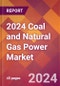 2024 Coal and Natural Gas Power Global Market Size & Growth Report with Updated COVID-19 & Recession Risk Forecasts - Product Thumbnail Image