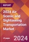 2024 Air Scenic and Sightseeing Transportation Global Market Size & Growth Report with Updated COVID-19 & Recession Risk Forecasts - Product Image