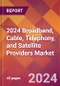 2024 Broadband, Cable, Telephony, and Satellite Providers Global Market Size & Growth Report with Updated COVID-19 & Recession Risk Forecasts - Product Image
