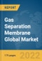 Gas Separation Membrane Global Market Report 2022: Ukraine-Russia War Impact - Product Image