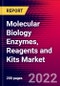 Molecular Biology Enzymes, Reagents and Kits Market by Product, Application, End User, and by Region - Global Forecast to 2022-2033 - Product Image