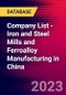 Company List - Iron and Steel Mills and Ferroalloy Manufacturing in China - Product Image