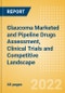 Glaucoma Marketed and Pipeline Drugs Assessment, Clinical Trials and Competitive Landscape - Product Image