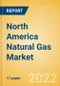 North America Natural Gas Market Outlook by Supply and Demand, Production Breakdown and Trade Activity, 2022-2027 - Product Thumbnail Image