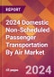 2024 Domestic Non-Scheduled Passenger Transportation By Air Global Market Size & Growth Report with Updated Recession Risk Impact - Product Thumbnail Image