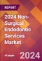 2024 Non-Surgical Endodontic Services Global Market Size & Growth Report with Updated Recession Risk Impact - Product Thumbnail Image
