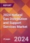 2024 Natural Gas Distribution and Support Services Global Market Size & Growth Report with Updated Recession Risk Impact - Product Image