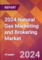 2024 Natural Gas Marketing and Brokering Global Market Size & Growth Report with Updated Recession Risk Impact - Product Image