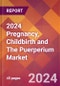 2024 Pregnancy, Childbirth and The Puerperium Global Market Size & Growth Report with Updated Recession Risk Impact - Product Image
