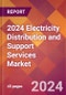 2024 Electricity Distribution and Support Services Global Market Size & Growth Report with Updated Recession Risk Impact - Product Thumbnail Image