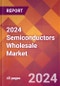 2024 Semiconductors Wholesale Global Market Size & Growth Report with Updated Recession Risk Impact - Product Image