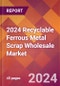 2024 Recyclable Ferrous Metal Scrap Wholesale Global Market Size & Growth Report with Updated Recession Risk Impact - Product Image