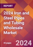 2024 Iron and Steel Pipes and Tubing Wholesale Global Market Size & Growth Report with Updated Recession Risk Impact- Product Image