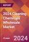 2024 Cleaning Chemicals Wholesale Global Market Size & Growth Report with Updated Recession Risk Impact - Product Image