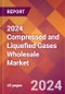 2024 Compressed and Liquefied Gases Wholesale Global Market Size & Growth Report with Updated Recession Risk Impact - Product Image