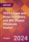 2024 Copper and Brass In Primary and Mill Shapes Wholesale Global Market Size & Growth Report with Updated Recession Risk Impact - Product Image