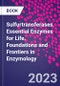 Sulfurtransferases. Essential Enzymes for Life. Foundations and Frontiers in Enzymology - Product Thumbnail Image