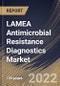 LAMEA Antimicrobial Resistance Diagnostics Market Size, Share & Industry Trends Analysis Report By Technology, By End User (Hospitals, Diagnostic Laboratories and Pharmaceutical, Biotechnology Companies), By Pathogen, By Country and Growth Forecast, 2022 - 2028 - Product Thumbnail Image
