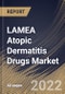 LAMEA Atopic Dermatitis Drugs Market Size, Share & Industry Trends Analysis Report By Route of Administration, By Class (Biologics, Calcineurin Inhibitors, Corticosteroids, PDE4 Inhibitors), By Country and Growth Forecast, 2022 - 2028 - Product Thumbnail Image
