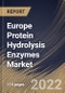 Europe Protein Hydrolysis Enzymes Market Size, Share & Industry Trends Analysis Report By Source, By Application (Detergents, Pharmaceuticals, Food, Textiles & Leather), By Product(Microbial Product, Plant Product, and Animal Product) By Country and Growth Forecast, 2022 - 2028 - Product Thumbnail Image