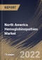 North America Hemoglobinopathies Market Size, Share & Industry Trends Analysis Report By Type (Thalassemia, Sickle Cell Disease), By Distribution Channel, By Therapy (Monoclonal Antibody Medication, Hydroxyurea, ACE Inhibitors), By Country and Growth Forecast, 2022 - 2028 - Product Thumbnail Image