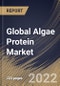 Global Algae Protein Market Size, Share & Industry Trends Analysis Report By Type (Microalgae and Macroalgae), By Source (Freshwater and Marine), By Application (Dietary Supplements, Animal Feed, Pharmaceuticals, Human Food), By Regional Outlook and Forecast, 2022 - 2028 - Product Image