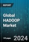 Global HADOOP Market by Type (Hardware, Services, Software), Applications (Banking, Financial services & Insurance, Government, Healthcare & Life Sciences) - Forecast 2024-2030 - Product Image