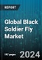 Global Black Soldier Fly Market by Product (Biofertilizers, Cocoons, Larvae Oil), Application (Agriculture, Animal Feed, Aqua Feed), Distribution - Forecast 2024-2030 - Product Thumbnail Image