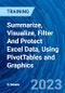 Summarize, Visualize, Filter And Protect Excel Data, Using PivotTables and Graphics - Product Thumbnail Image