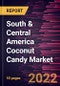 South & Central America Coconut Candy Market Forecast to 2028 - COVID-19 Impact and Regional Analysis - by Product Type, Category, and Distribution Channel - Product Thumbnail Image