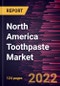 North America Toothpaste Market Forecast to 2028 - COVID-19 Impact and Regional Analysis By Type , End User, Base Type, and Distribution Channel - Product Image